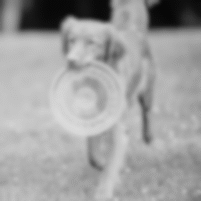 Giochi