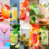 DegustaFood DGF4