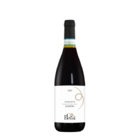 Rjan Piemonte Barbera DOC