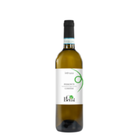 Intruso Piemonte Cortese DOC