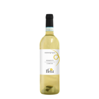 Sassogrigio Piemonte Cortese DOC