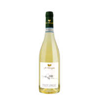 Pinot Grigio DOC