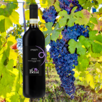 DegustaWine Box Monferrato
